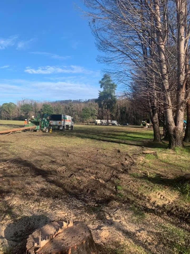 Mulching Services by Gettin' It Done! Tree Services