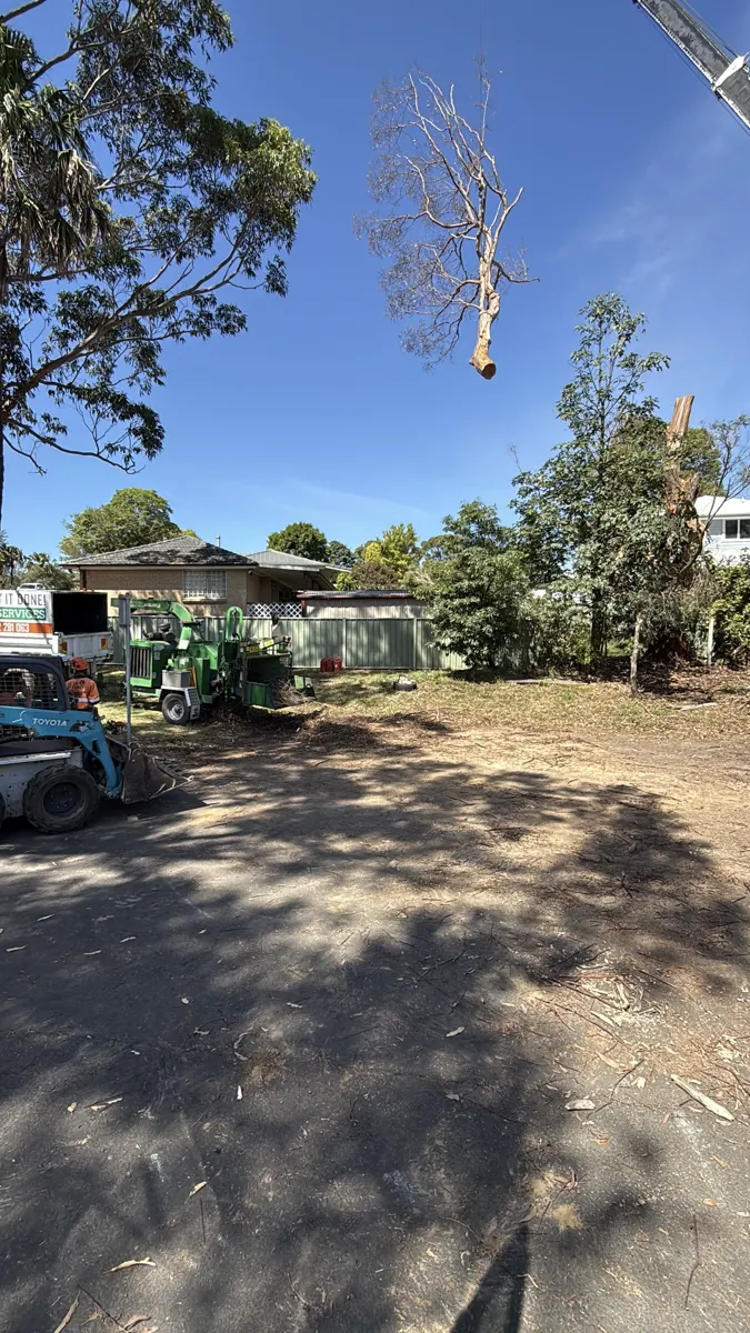 Emergency Tree Removal by Gettin' It Done! Tree Services