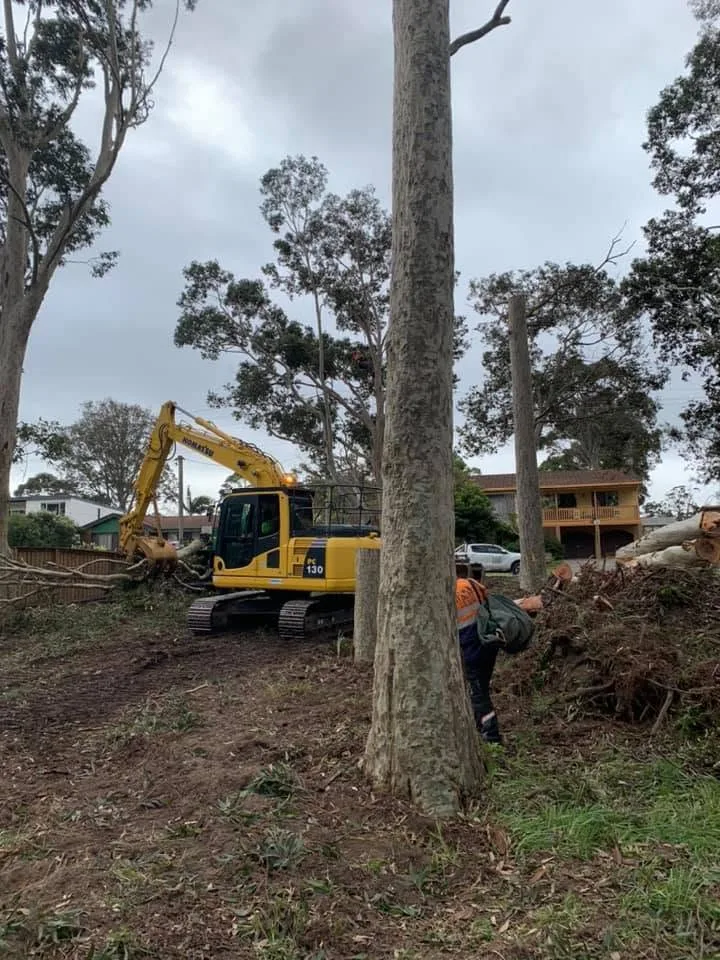 Tree Removal by Gettin' It Done! Tree Services