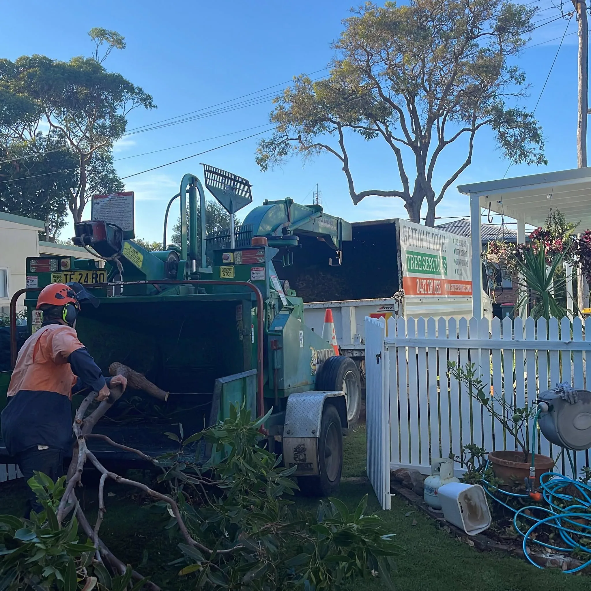 Tree services in action