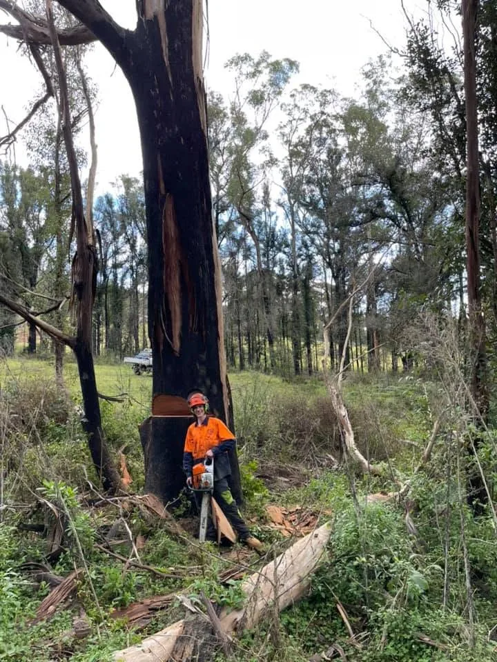 Fire Hazard Reduction by Gettin' It Done! Tree Services