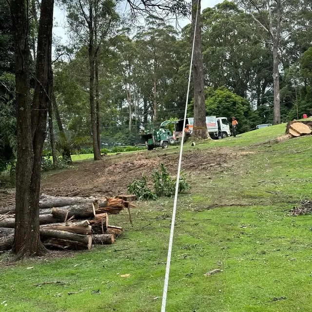Land & Block Clearing by Gettin' It Done! Tree Services