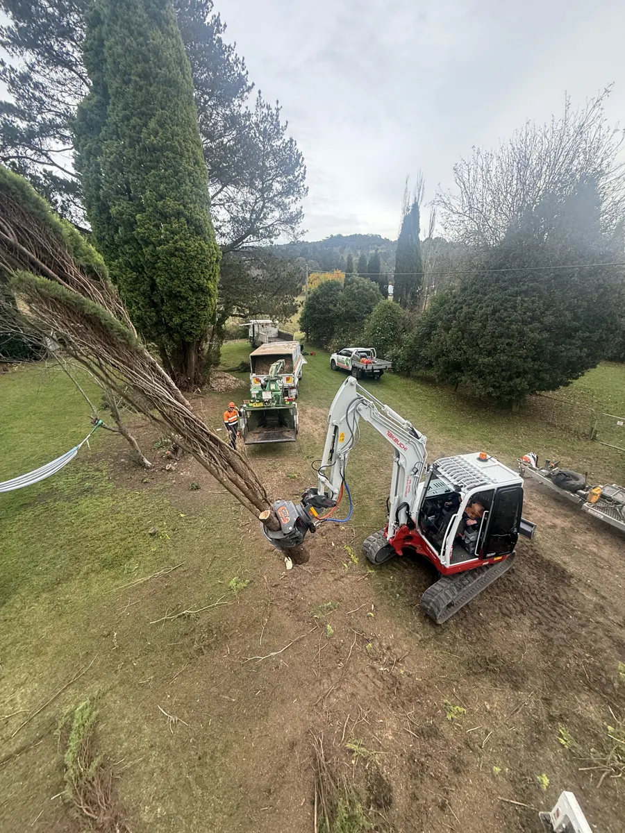 Excavator with mulching head clearing garden vegetation