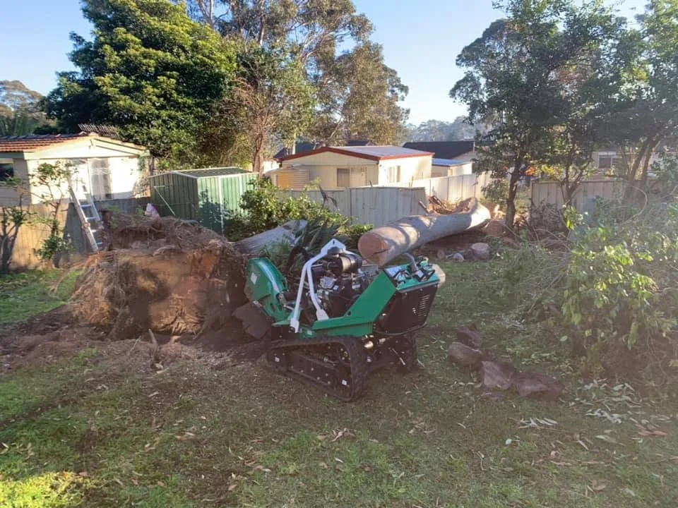 Stump Grinding by Gettin' It Done! Tree Services