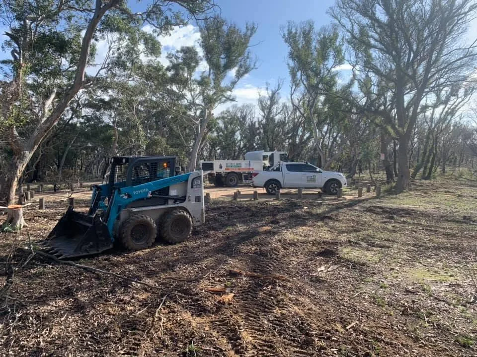 Lantana & Invasive Weed Removal by Gettin' It Done! Tree Services