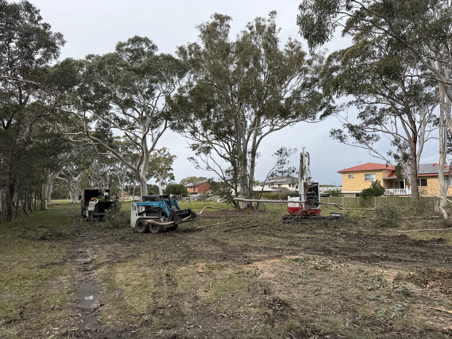 APZ Preparation by Gettin' It Done! Tree Services