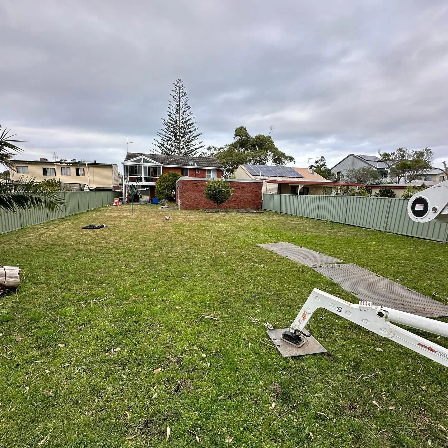 Backyard cleared after a tree removal job