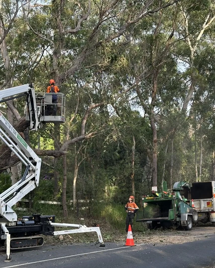 Gettin' It Done! Tree Services truck and wood chipper on a residential job
