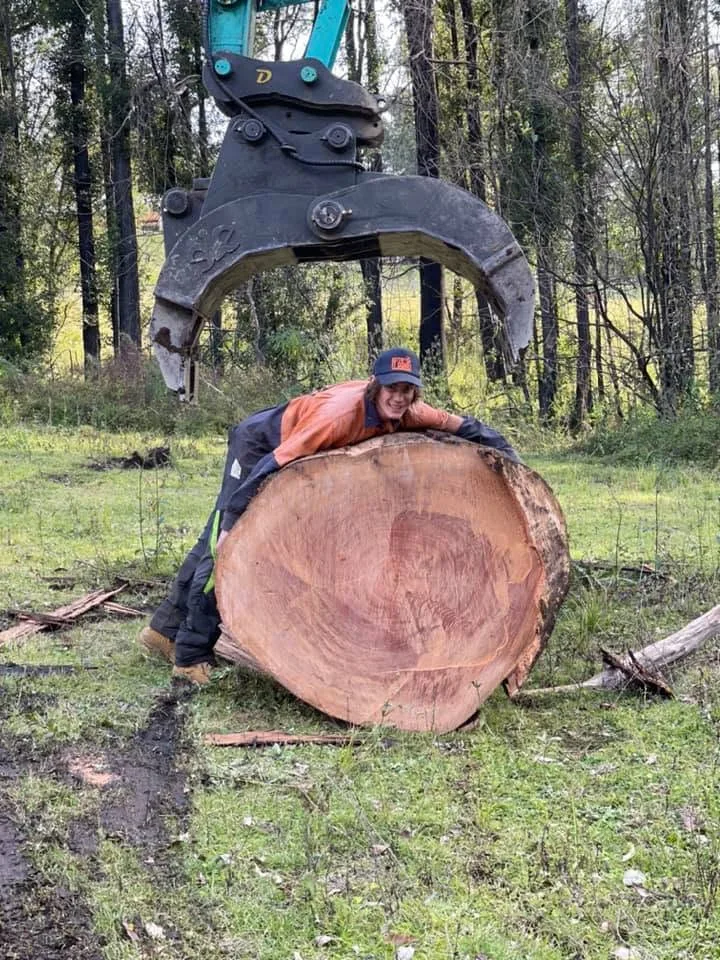 Emergency Tree Removal by Gettin' It Done! Tree Services