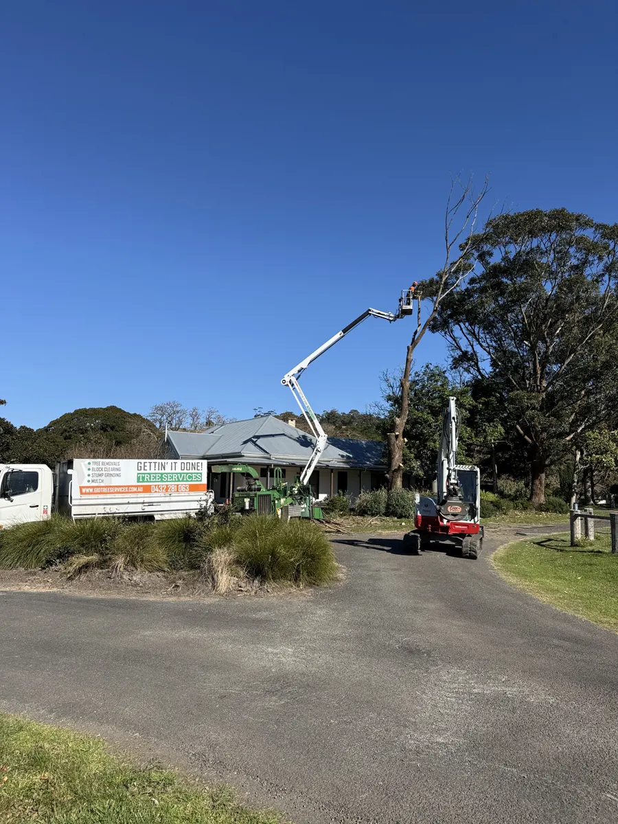 Tree Pruning & Tree Maintenance by Gettin' It Done! Tree Services