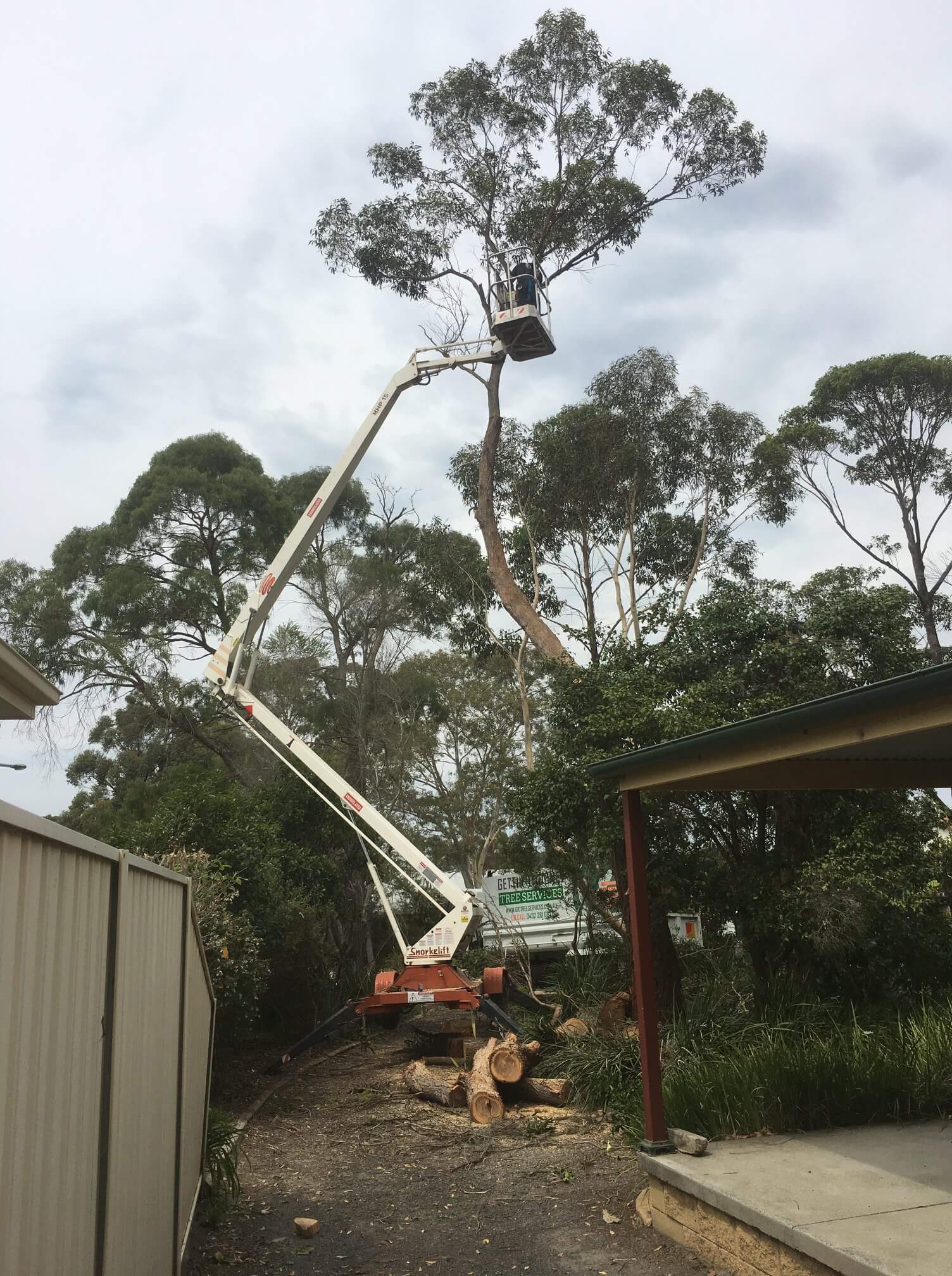 Tree Removal Cherry Picker